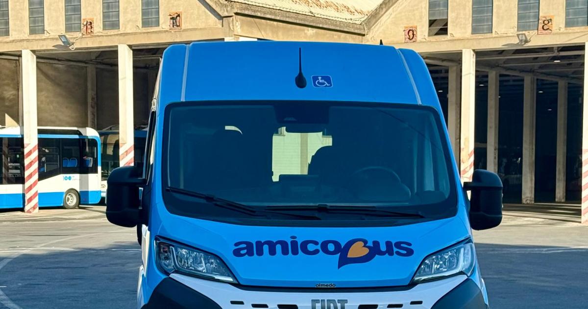 Amicobus